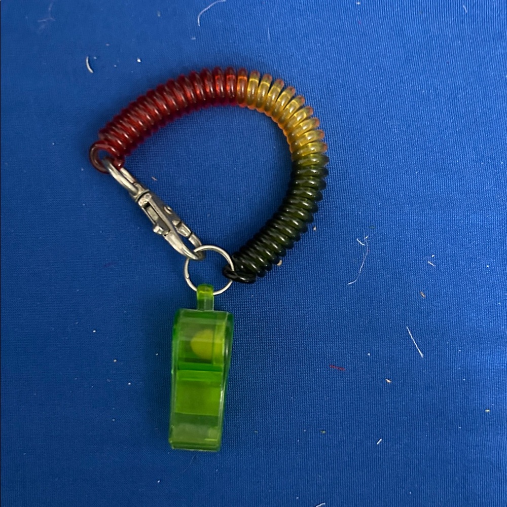 Keychain Accessory - Black - Picture 5 of 7